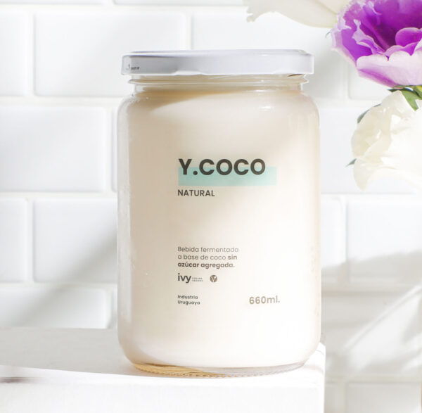 Yogurt Natural